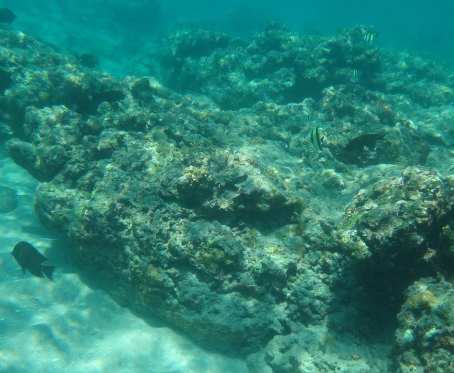 Wera Beach Kadumbul Екстер'єр фото